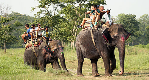 Elephant Safari at Chitwan National Park