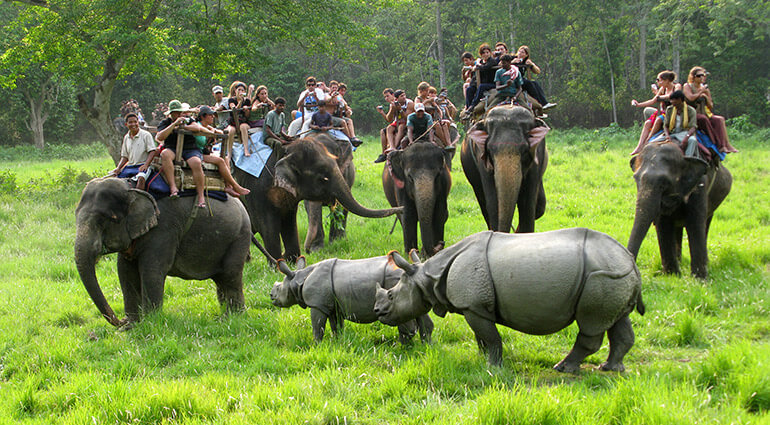 safari animal ride
